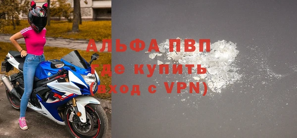spice Аркадак